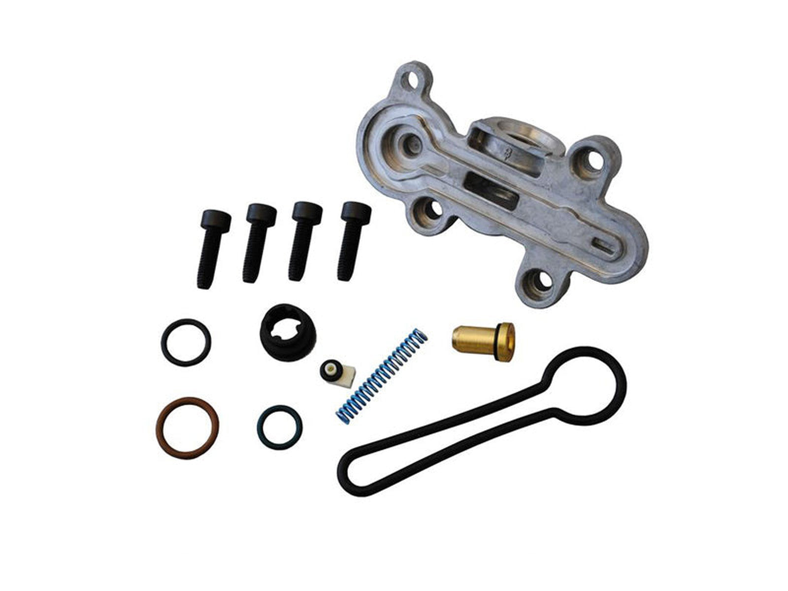 OE 3C3Z9T517G Fuel Pressure Regulator Upgrade Kit, Blue Spring, 2003.5