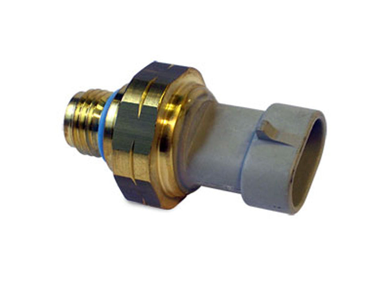 4921505 Large