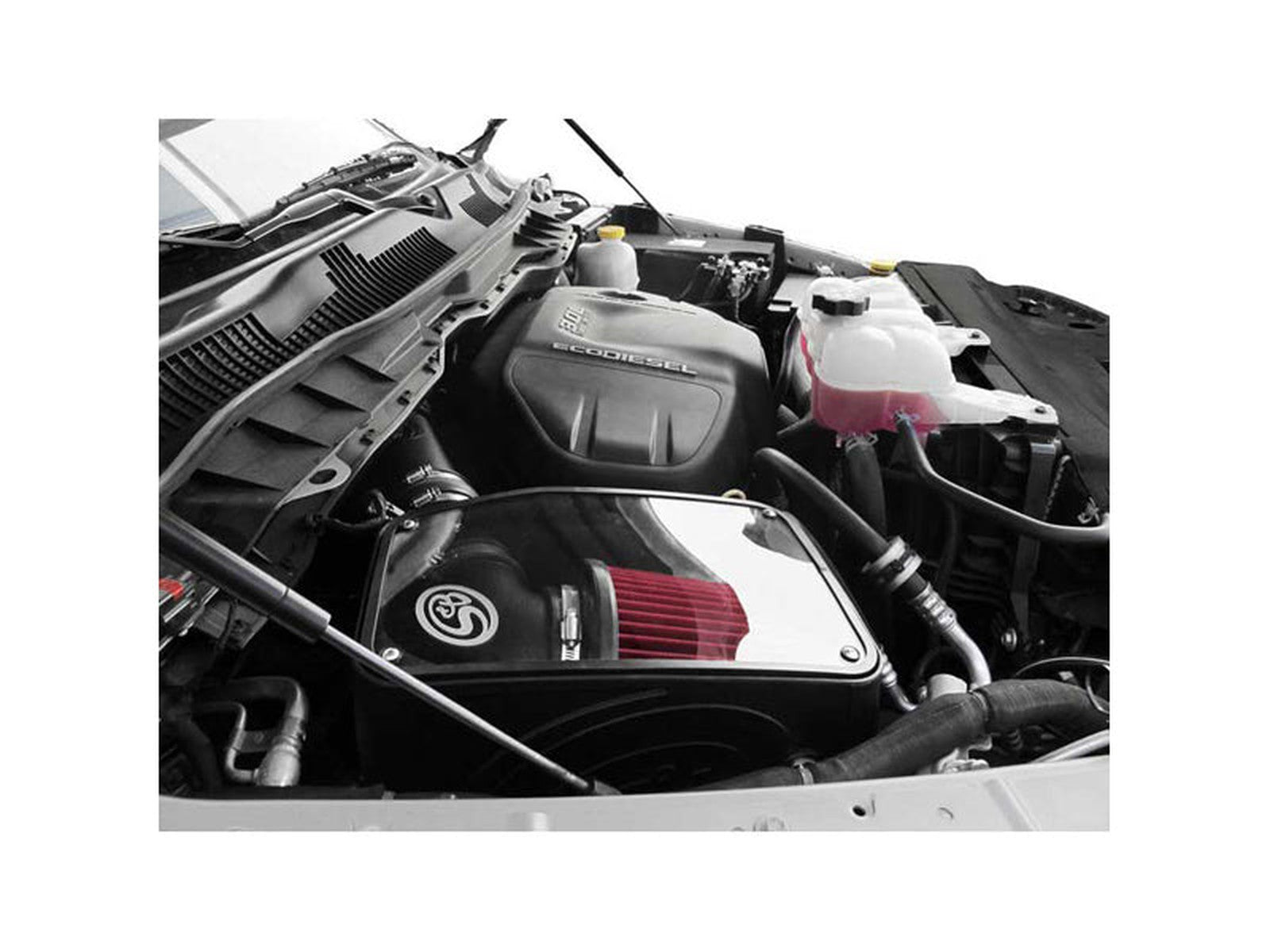 SBF75-5074 Large