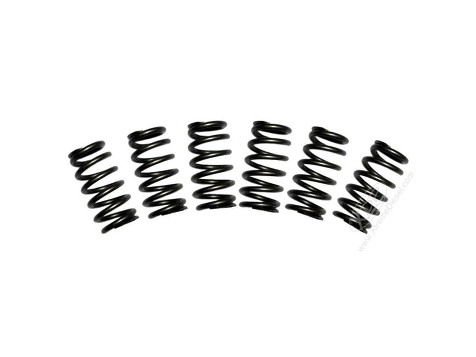 BD1030060 BD-POWER 60# VALVE SPRINGS 1030060 1989-1998 DODGE 5.9L CUMMINS 12VLarge