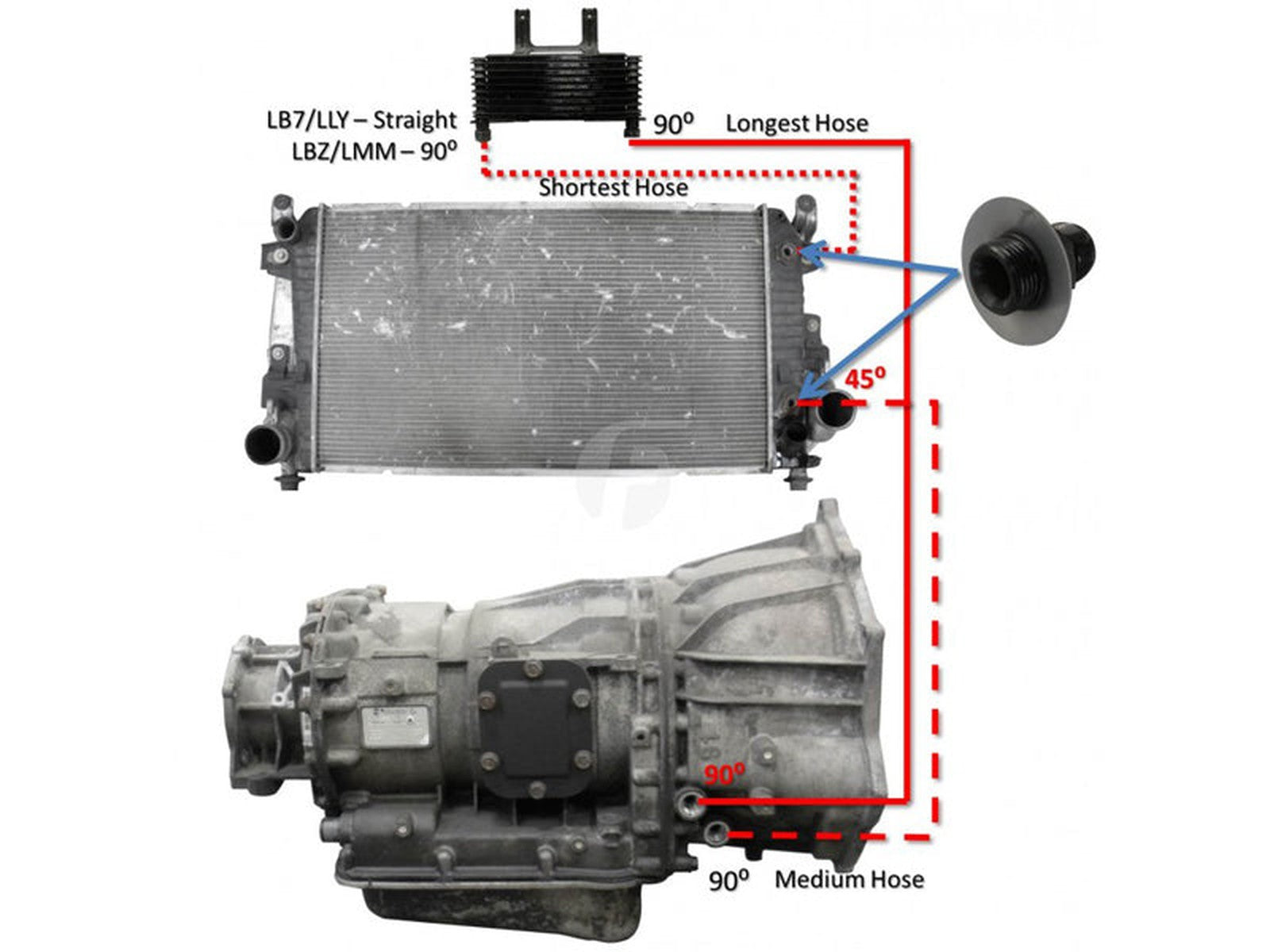 FPE-TL-LB7-LLY Large
