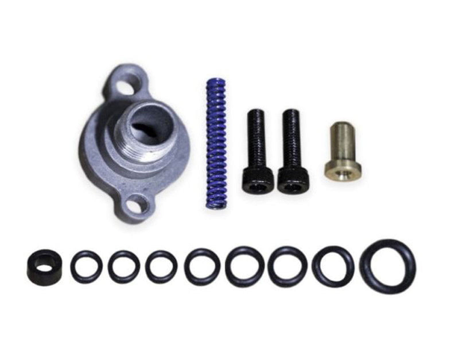 ZZ-11-268 ZZ Diesel Fuel Pressure Regulator Blue Spring Kit 1999.5-2003 Ford 7.3L Powerstroke DieselLarge